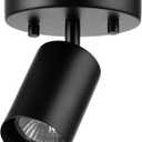 Globe Electric 57498 Pratt 1-Light Track Lighting Spotlight, Matte Black, Bulb Not Included