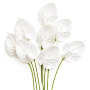 Ling's Moment White Anthurium Flowers, 8pcs Artificial Silk Filler Plants, Faux Greenery Stems for DIY Wedding Bouquets Centerpieces Arrangements Bridal Shower Party Home Decorations