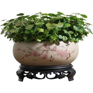 TOIVO Lotus Bowl Planter, Coarse Pottery Water Lily Flower Pot with Plastic Base, 7.8 inches (B-2)