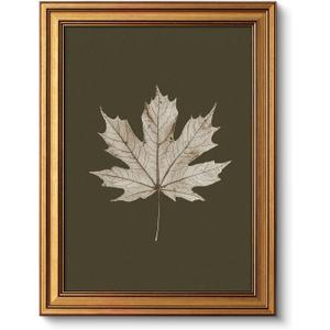 VIYYIEA Vintage Gold Framed Wall Art for Living Room, Maple Leaf Canvas Prints Home Decor, Oil Painting Picture, Bedroom Wall Decor Gifts for Friends or Family -Maple Leaf Specimen-(16L x 12W)