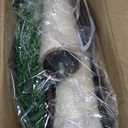 PETEPELA Cat Scratching Post, Mushroom Tall Cat Scratcher Featuring with Natural Sisal Scratching Poles and Interactive Toy Ball for Kittens and Small Cats (Brown) (18.9")