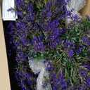 Grooy 4 Pack Artificial Lavender Topiary Balls with Ground Spikes