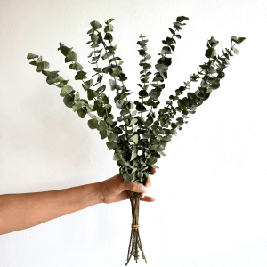 Dried  Decor,Eucalyptus Boho Dried Flowers Bouquet for Wedding Floral Arrangements Table,Home,Rustic,Farmhouse Decor