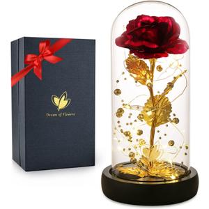 Valentines Rose Gifts for Her Birthday Gifts for Women Valentines Flower Galaxy Glass Rose with 2 Light Modes Forever Eternal Colorful Gold Foil Rose in Glass Dome,Anniversary Valentines Women Gifts