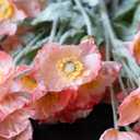 DUYONE Artificial Flowers 6 Stems Poppy Silk Bouquet,for Wedding, Home, Party Decoration,Table Centerpiece Arrangement(Orange Pink 6pcs)
