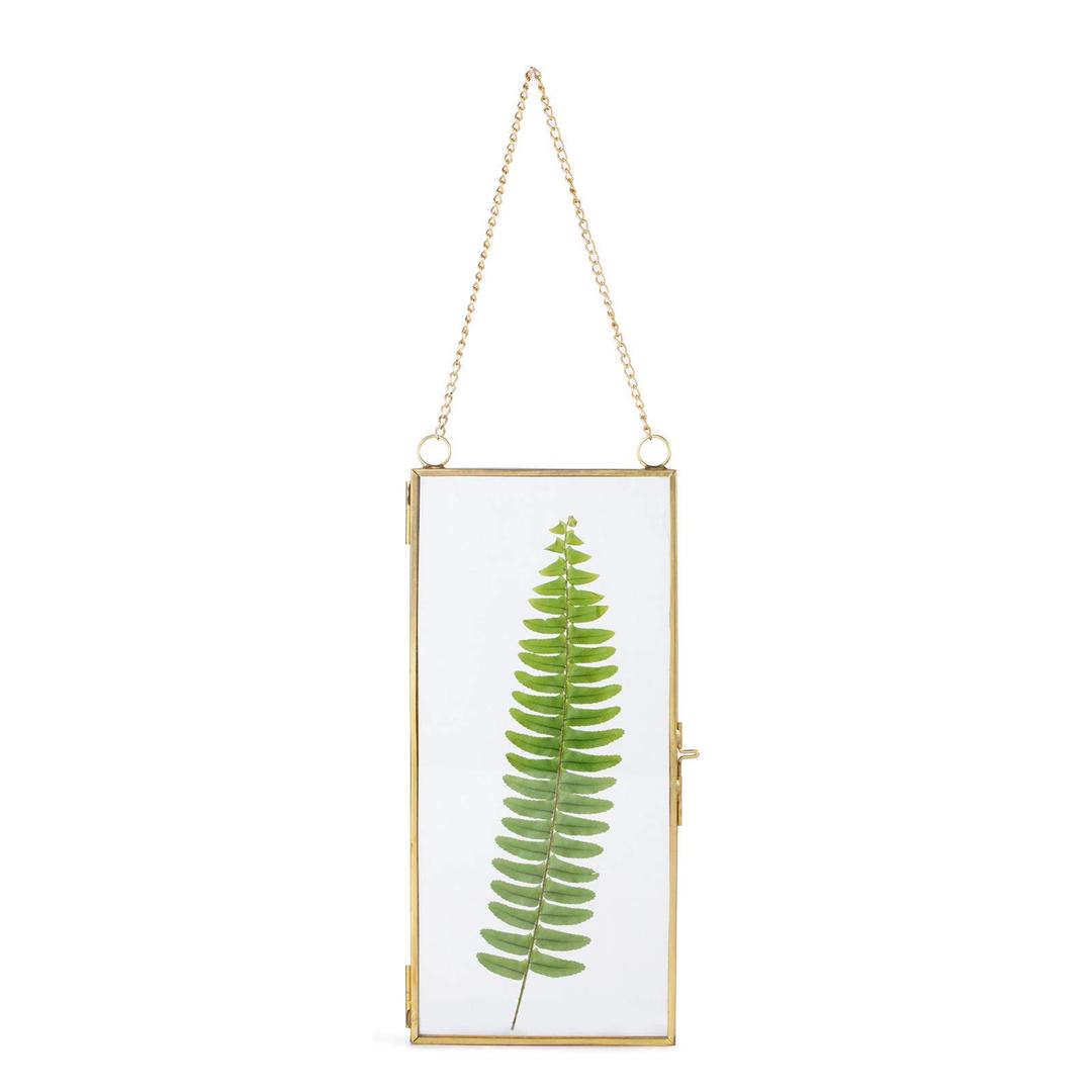 NCYP Small 4.1" x 9" Clear Glass Floating Display Frame for Picture, Certificate, Photo, Pressed Dried Flower - Wall Hanging Plant Clip - Modern Home Vertical Decor, Gold (Glass Frame Only)