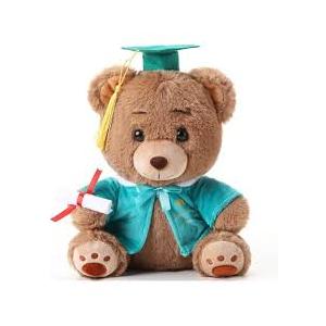 Deekin 10 Inch Graduation Bears Stuffed Animal Class of 2025 Plush Bear in Black Cap Graduation Bear Kindergarten Graduation Gifts Stuffed Bear Plush Bear Toy for Grad Party Decor (Blue)