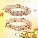 9 x Lionheart Glory Adjustable Heavy Duty X-Small Dog Collar for Halloween (Pumpkin and Flower)