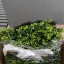 28'' Large Boxwood Wreaths Front Door Artificial Green Spring Wreath with Sash Wreaths for Front Door Farmhouse Greenery Year Round Outdoor Indoor for Summer Wreath St Patricks Day Decoration