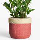 Ceramic Flower Pots, 9.8 Inch Plant Pots, Round Pot for Plants, Red | Boho Plant Pot for Indoor Plants, Decorative Planter with Drainage Hole, Home Apartment Decor, Gardening Gifts for Women