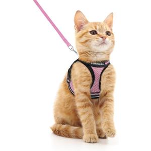 rabbitgoo Cat Harness and Leash Set for Walking Escape Proof, Adjustable Soft Kittens Vest with Reflective Strip for Cats, Comfortable Outdoor Vest, Pink, M