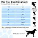 Noorace Dog Knee Brace for ACL CCL Support, Hind Leg Mobility Support, XS
