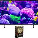 Samsung DU7200 43 Inch Crystal 4K UHD Smart TV Bundle with Deco Gear 2X 4K HDMI 2.0 Cable w/Copper Conductors & CPS Exclusive 26 Month Protection Pack (BEACH-CPS-26500)