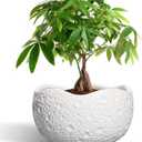 10 Inch Plant Pot - Ceramic Planter for Indoor Outdoor, Round Bonsai Pots, Decorative Flower Pots with Drainage Hole, Modern Unique Planters, House Decor, Home Gifts, White