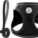 Hipubby Dog Harness and Leash Set, No Pull Soft Mesh Puppy Harness for Small Medium Dogs, Cats - Step in Reflective Breathable Lightweight Vest Harness for Walking, Training - Black, XXS (XXS (Chest: 11"-12.5"))