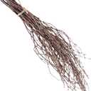 PRETYZOOM 10pcs DIY Home Decor Birch Branches Dry Wooden Sticks Versatile for Decor Wreath Making