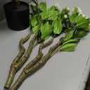 Artificial Camellia Tree 3.3 FT 2 Pack, Christmas Decor Fake Camellia Plant with Blooming Flowers&Natural Wood Trunk, Greenery Faux Potted Plant for Home Office Winter Indoor (White, 3.3FT)