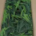 1 Pcs 9 Ft Artificial Norfolk Pine Garland, Realistic Real Touch Winter Christmas Greenery Garland for Mantle, Fireplace, Table, Wall, Outdoor, Indoor Christmas Decorations