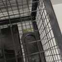 2-Pack Rat Traps Humane Live Mouse Vole Chipmunk Trap Cage for Indoors and Outdoors (Black)