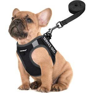 Fayogoo Service Dog Vest for Small Breed - Lightweight Dog Harness with 6PCS Removable Patches - Puppy Harness and Leash Set for Walking,Training, Small
