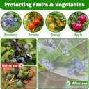 4 Pack Garden Mesh Netting for Plants 2.6x3.3ft - 3.3x4.9ft Insect Bird Netting Pest Barrier Bag with Drawstring 2 Size Fruits Tree Blueberry Bush Netting Cover Bag Protection for Vegetables Tomato