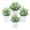 Der Rose 4 Pack Fake Plants Mini Artificial Greenery Potted Plants for Home Decor Indoor Office Table Room Farmhouse Bathroom Decor