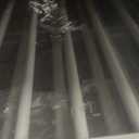 No Pawblems 55" Extra Tall Pet Gate with Adjustable Cat Door, 29-43" Auto Close Tall Dog Gate, NO Drilling Pressure Mounted for Doorways/Hallways, 1.37" Narrow Bar Spacing, White