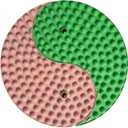Foot Massager Mat, Yinyang Balance Tai ji Bagua Pattern with Magnetic Therapy, Acupressure Reflexology Mat for Daily Foot Relaxation and Pain Relief, Pink and Green