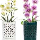 Jucoan 2 Pack Orchid Pots with Holes and Saucer, 4 Inch Ceramic Slotted Orchid Planter Pots for Repotting Indoor Outdoor Plant, Elegant Beige White and Green