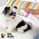 2 x The Dodo Calming Shampoo & Spray for Dogs Twin Pack; 12oz Calming Dog Shampoo + 12oz Calming Dog Spray with Lavender and Chamomile; Vegan, Cruelty-Free, No DEA, MEA, SLS or Parabens