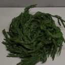 1 Pc 6 Ft Artificial Norfolk Pine Garlands, Christmas Garland,Real Touch Winter Pine Garland, Green Artificial Greenery Garland for Table for Christmas Winter Home Mantel Fireplace Holiday Party