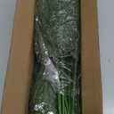 WeGuard 16 Pcs Real Touch Artificial Norfolk Pine Branches, 18 Inches Faux Norfolk Pine Stems Fake Christmas Greenery Picks for Vase DIY Garland Wreath Christmas Decorations Indoor Outdoor