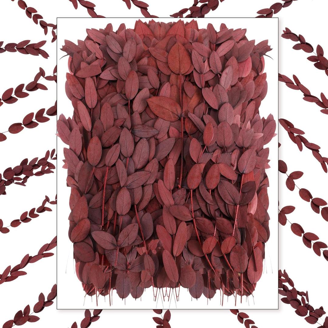 Wavwavw 100 Pcs Pressed Dried Eucalyptus Leaves 6 Inch 100% Natural Preserved Real Eucalyptus Stems Dried Greenery for DIY Crafts Resin Art Invitations Scrapbook Card Gift Decoration (Red)