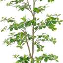 Bellacat Faux Black Olive Tree 7ft, Tall Faux Trees Indoor with Natural Trunk and Realistic Leaves. 7 Feet(84in) Artificial Tree for Home Office Dcor.