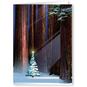 Stonehouse Collection |Christmas Tree in the Forest Holiday Card | 18 Christmas Cards & Envelopes | USA Made- Winter Holiday Forest (Standard)