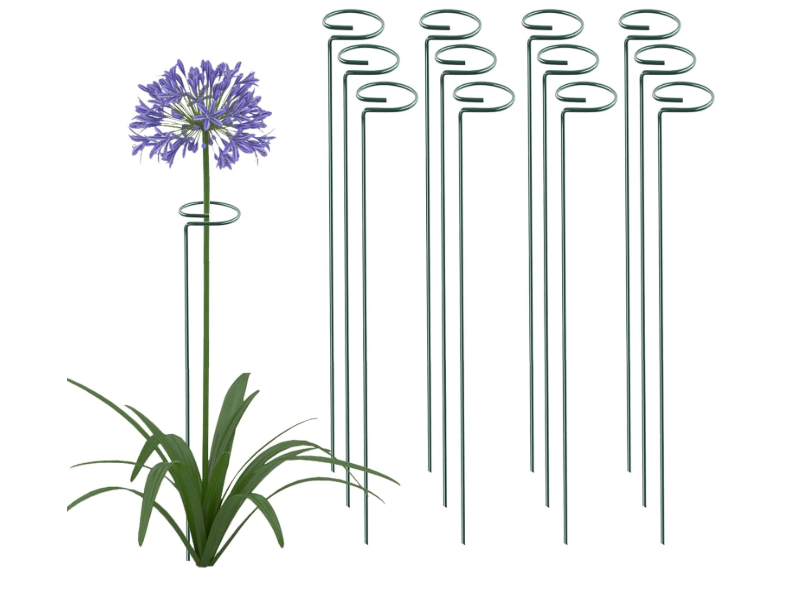 Thealyn 36 Inch 12 Packs Plant Support Stakes,Garden Single stemmed Plant Support Hoops, Plant Prop, for Flowers,Orchid, Tomatoes Peony Lily Rose (36 inch)