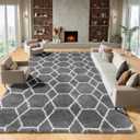 ONASAR 8x10 Area Rugs for Living Room, Fluffy Grey and White Bedroom Rug, Washable Geometric Boho Large Soft Plush Shaggy Fuzzy Floor Carpet for Nursery Kids Classroom Playroom Dorm Home Decor