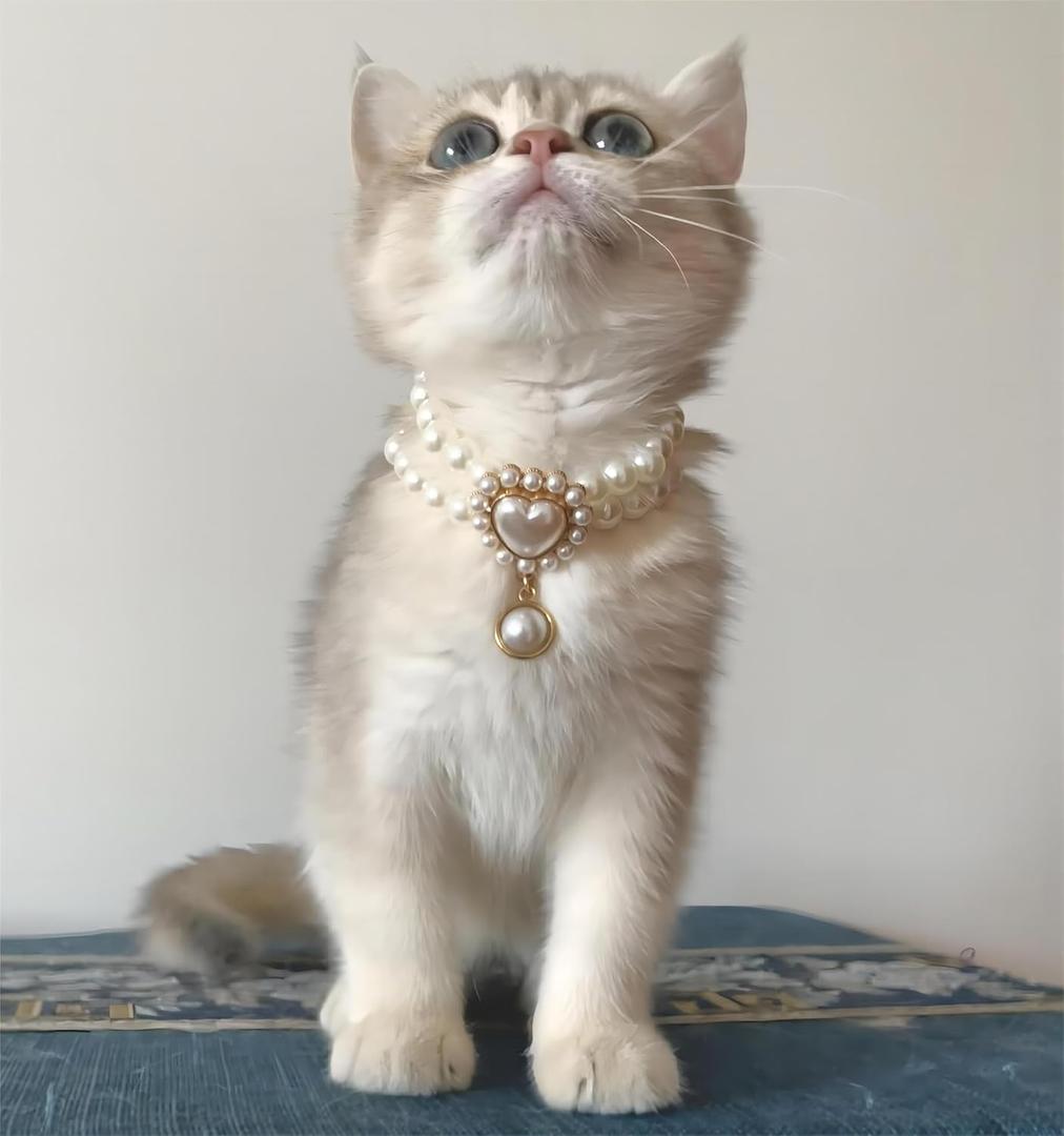 6 x Dog Costume,Handmade Girl Pearl Dog Necklace with Adjustable Clasp,Cute Small Collars for Birthday,Personalized Cat Costumes for Wedding Holiday Outgoing