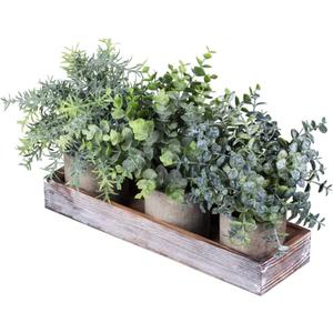 Set of 3 Mini Potted Artificial Eucalyptus Plants Faux Rosemary Plant Assortment with Wood Planter Box for Indoor Office Desk Apartment Wedding Tabletop Greenery Decorations 8.7" Tall