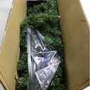 Christmas Tree Green Color, 5ft