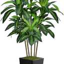 6FT Artificial Dracaena Tree, Fake Tree Indoor with Black Tall Planter, Tall Artificial Plants Indoor, Artificial Silk Tree for Home Office Decor, Housewarming Gift (Black)