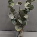 Artificial Eucalyptus Stems in Glass Vase with Faux Water,Artificial Plants Eucalyptus Leaves for Shelf Desk Bathroom Farmhouse Room Coffee Table Home Decor, Central Decoration.