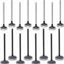 16PCS Intake Exhaust Valves Kit Fit for Hyundai 2.0L G4KD for Santa Fe Sonata for Kia Forte Optima, Replace 22211-2G000, 22212-25002