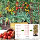 Colingmill 8 Pack Tomato Cages 39 Inch (H) Heavy Duty Square Tomato Cages Powder Coated Steel Plants Support Garden Trellis Stakes for Cucumber, Peas, Vegetables Climbing Plants