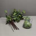 20 Pcs artificial eucalyptus stems fake eucalyptus faux greenery Leaves 23.6 Inches Silver Dollar Eucalyptus Fake Plant Decor Silk Eucalyptus Branches Artificial Greenery Plant for Wedding Decoration