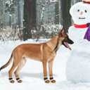 KOOLTAIL Dog Socks for Hot Pavement, Summer Dog shoes to Prevent Licking Paws for Hardwood Floor, Non Slip Double Sides Boots & Paw Protectors, Pet Grippy Booties for Small Medium Large Senior Dogs,SM (Brown+Beige)