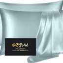 Silk Pillow Cases 2 Pack, Mulberry Silk Pillowcases Standard Set of 2, Smooth, Anti Acne, Beauty Sleep, Both Sides Natural Silk Satin Pillow Cases for Women 2 Pack with Zipper for Gift, Aqua Blue