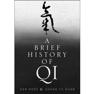 A Brief History of Qi