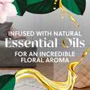 Air Wick Scented Oils 0+5 Summer Delights