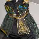 Morph Egyptian Costume Women, Cleopatra Costume Adult, Cleopatra Halloween Costumes, Halloween Costumes For Women Adult (X-Large)